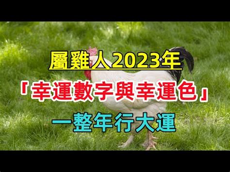 屬雞2023幸運色 乙丑 五行